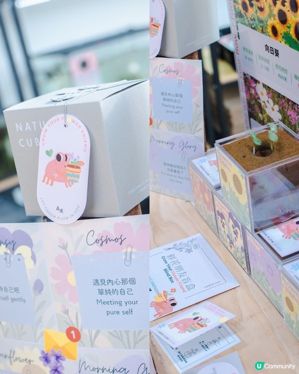 西沙𝙂𝙊 𝙁𝙐𝙉夏水禮🫟｜水花大戰🔫