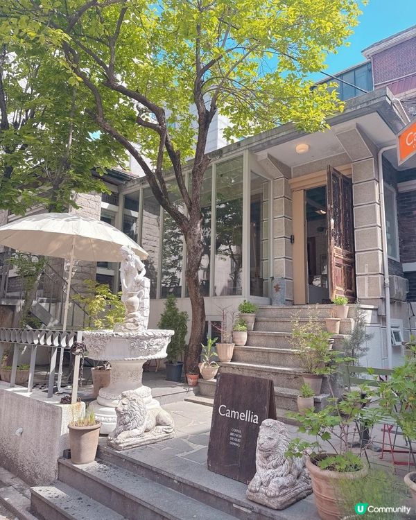 ✨延南洞南法綱紅打卡Cafe ✨