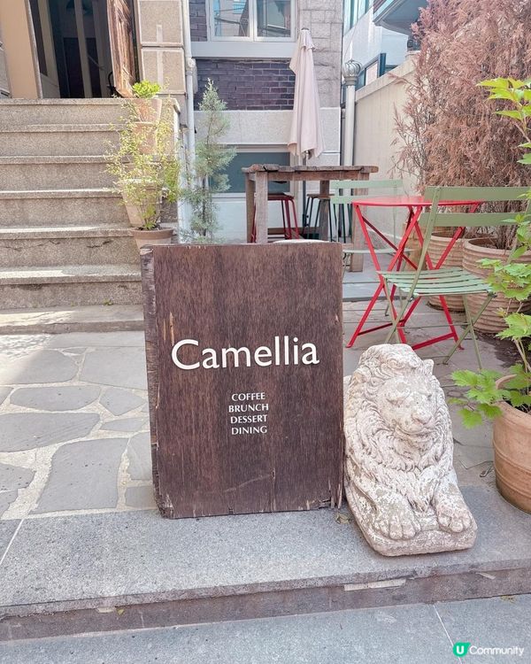 ✨延南洞南法綱紅打卡Cafe ✨