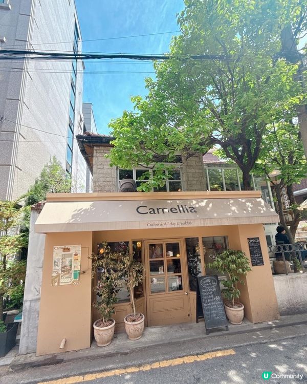 ✨延南洞南法綱紅打卡Cafe ✨