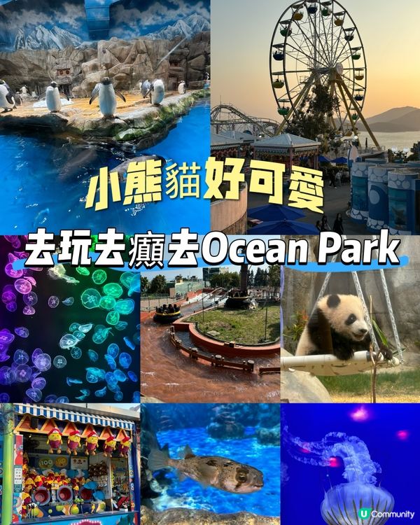 週末海洋公園親子遊！勁好玩🥳🎢