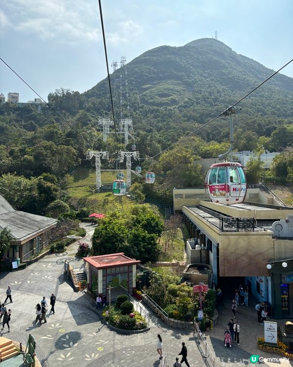 週末海洋公園親子遊！勁好玩🥳🎢