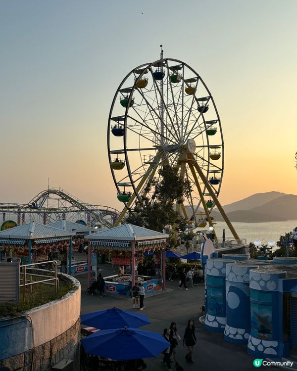 週末海洋公園親子遊！勁好玩🥳🎢