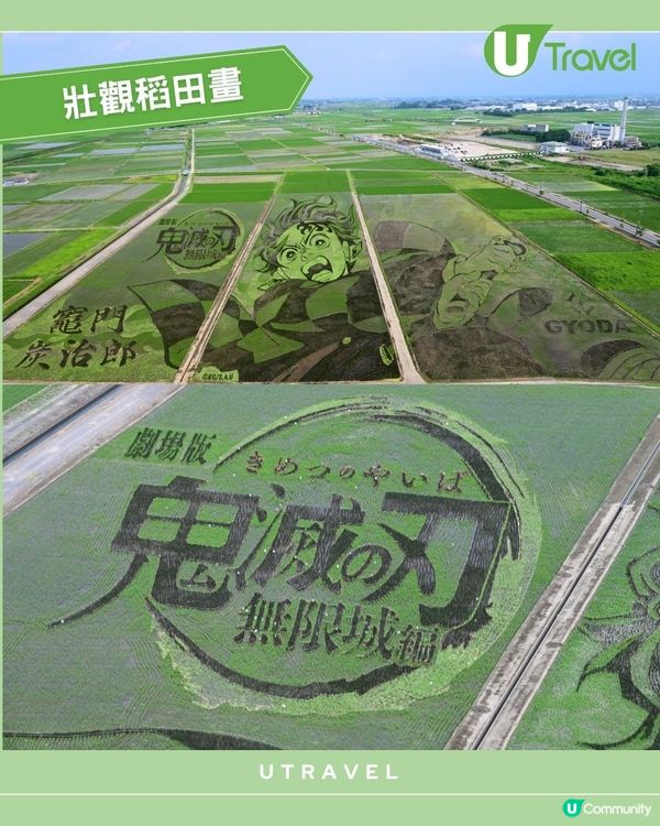 日本稻田藝術 X《鬼滅之刃》🔥超震撼田園藝術！