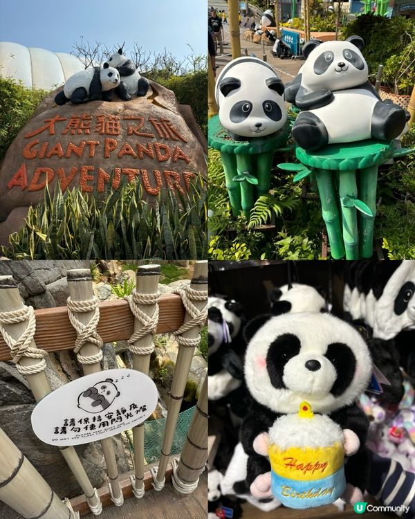 週末海洋公園親子遊！勁好玩🥳🎢