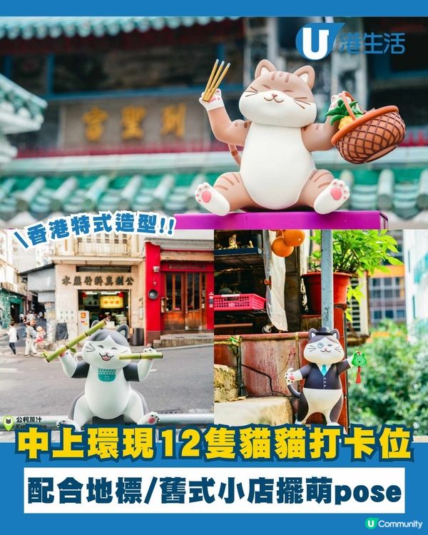 中上環地標現12隻打卡貓貓！