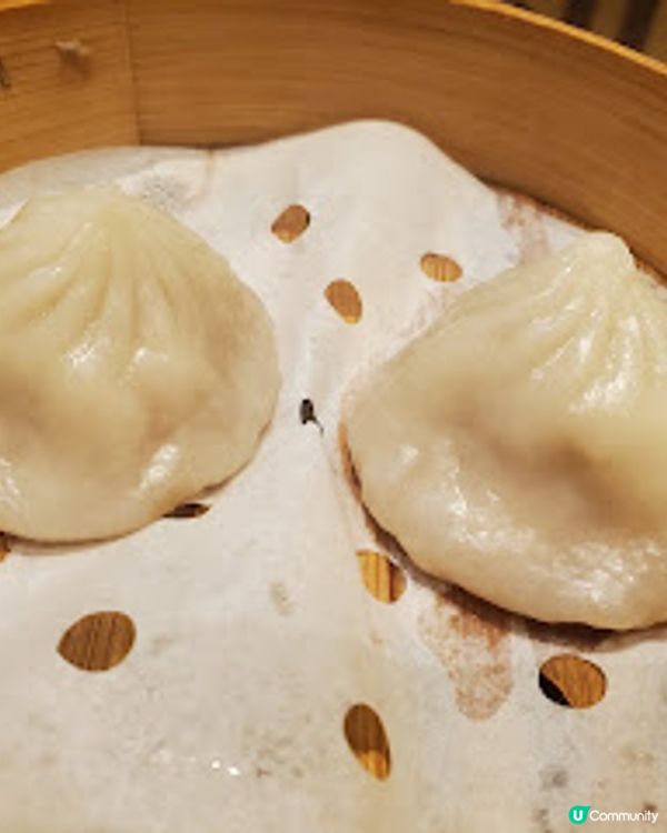 堅信號上海生煎皇．生煎包爆汁、蔥油雞滑到震！