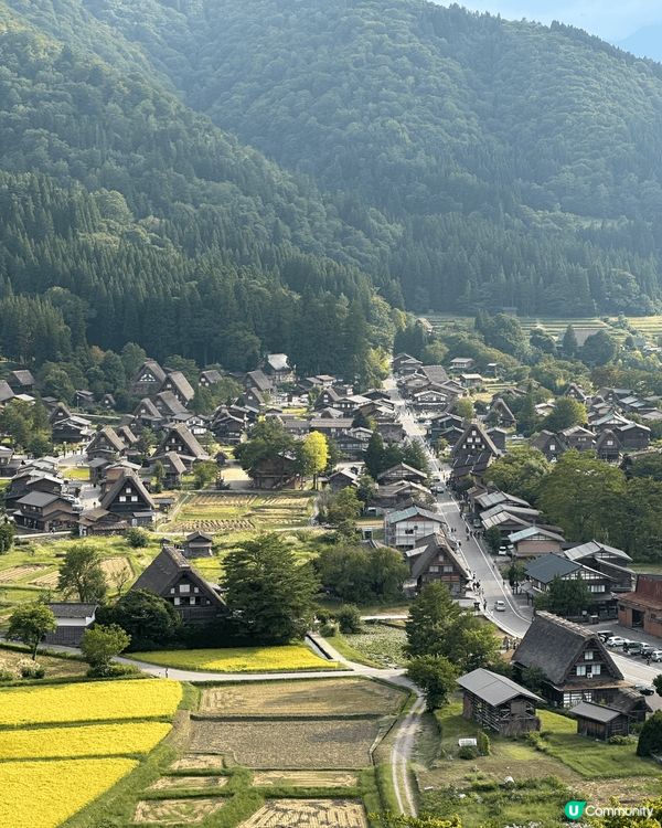 秋天名古屋白川鄉合掌村，雖然景是最美，但綠油油又是另一番風味...