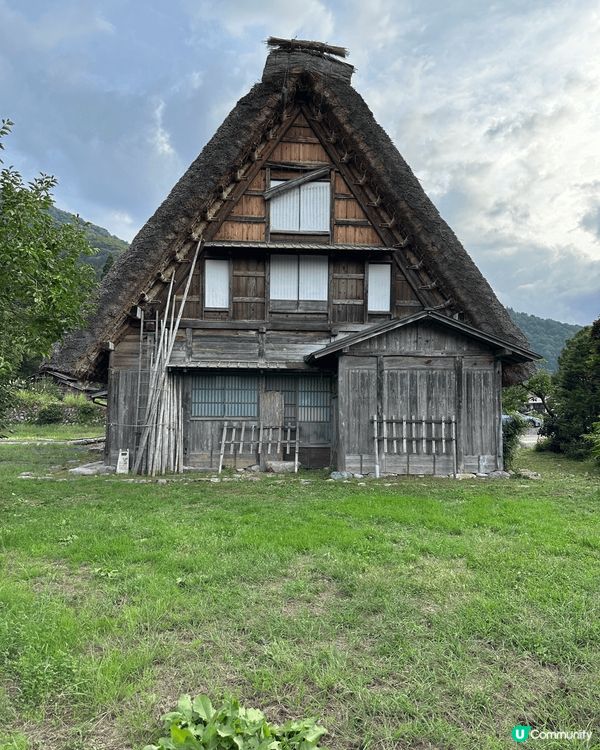 秋天名古屋白川鄉合掌村，雖然景是最美，但綠油油又是另一番風味...