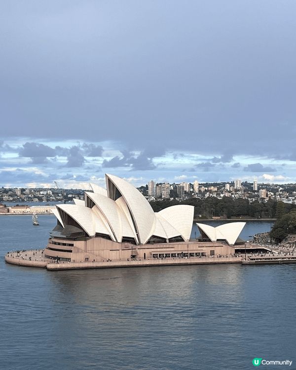 香港咁熱，暑假想避寒，去南半球就啱哂啦！