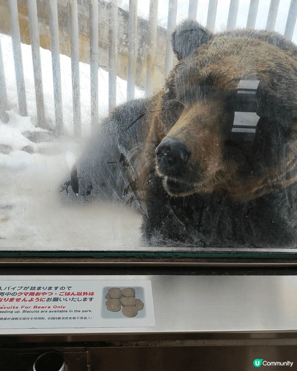 推介登別溫泉街, 沿途除了手信店及不同類型食店外，最值得留意...