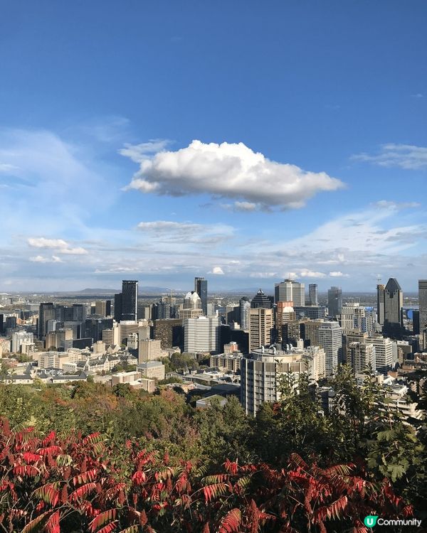照片攝於加拿大蒙特利爾Mount Royal Park 