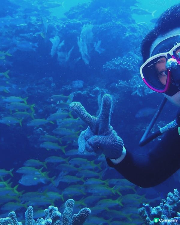 大癲一個人去沖繩之旅，無車牌開電動車上山吃好西
