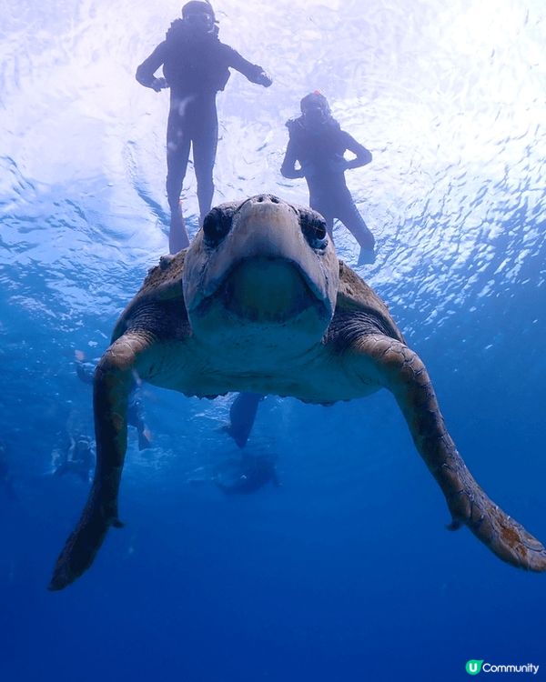 大癲一個人去沖繩之旅，無車牌開電動車上山吃好西
