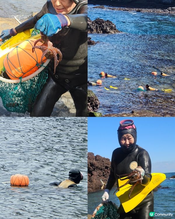 濟州一日遊⛰️睇海女表演🤩
