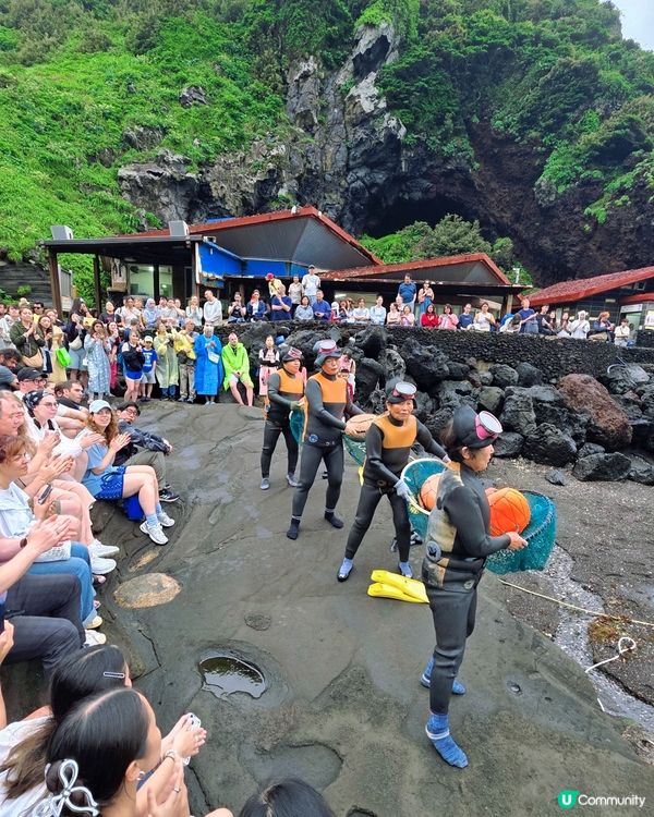 濟州一日遊⛰️睇海女表演🤩