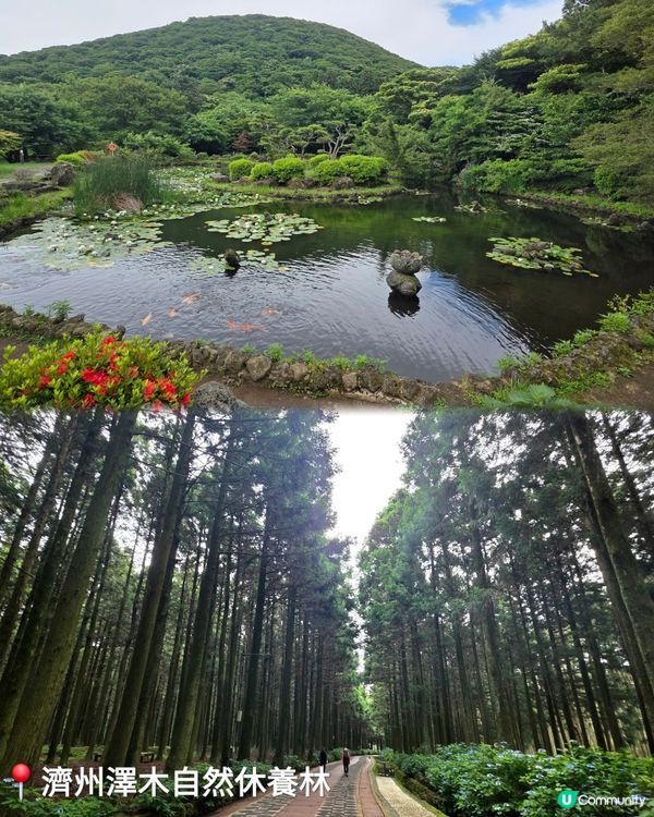 濟州一日遊⛰️睇海女表演🤩