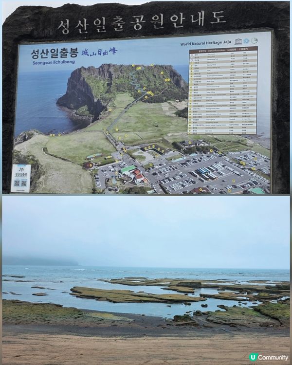 濟州一日遊⛰️睇海女表演🤩