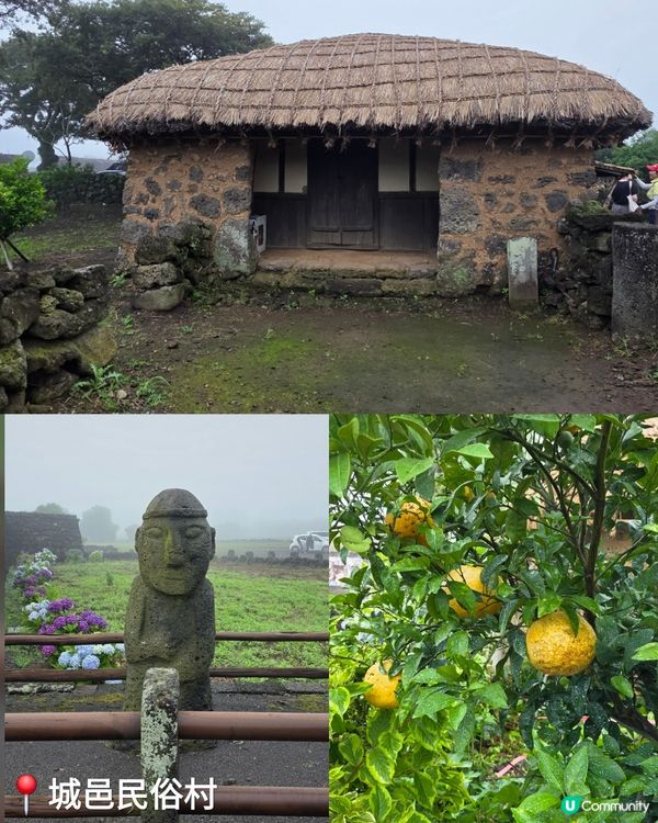 濟州一日遊⛰️睇海女表演🤩