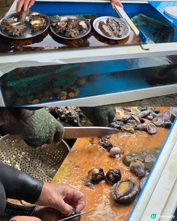 濟州一日遊⛰️睇海女表演🤩