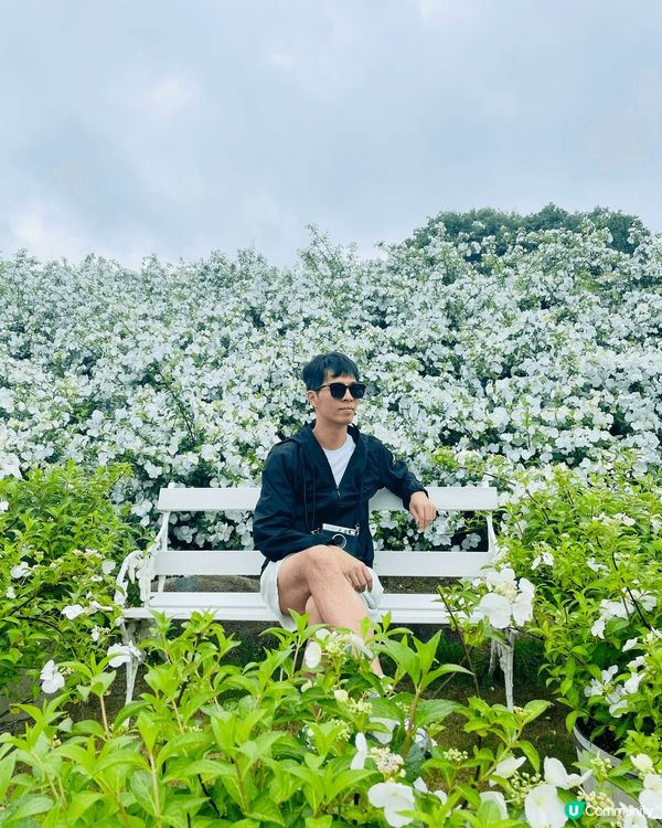 呢度係日本廣島縣，花夢之里，呢度到六月中有好多繡球花，影相非...