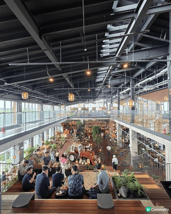 濟州繡球花自駕遊🌸！靚爆景點大公開！🤩