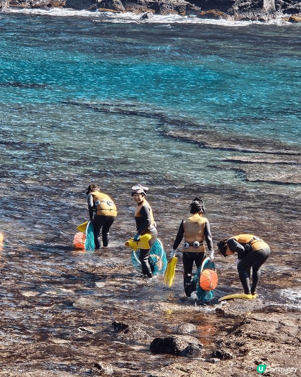 濟州繡球花自駕遊🌸！靚爆景點大公開！🤩