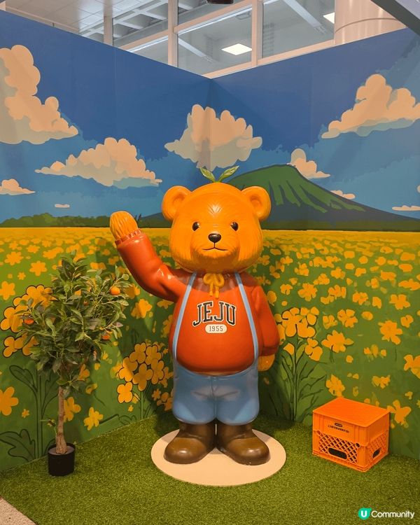 濟州繡球花自駕遊🌸！靚爆景點大公開！🤩