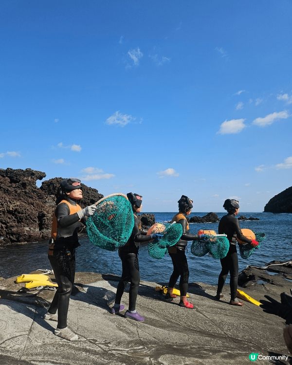 濟州繡球花自駕遊🌸！靚爆景點大公開！🤩