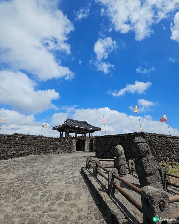 濟州繡球花自駕遊🌸！靚爆景點大公開！🤩