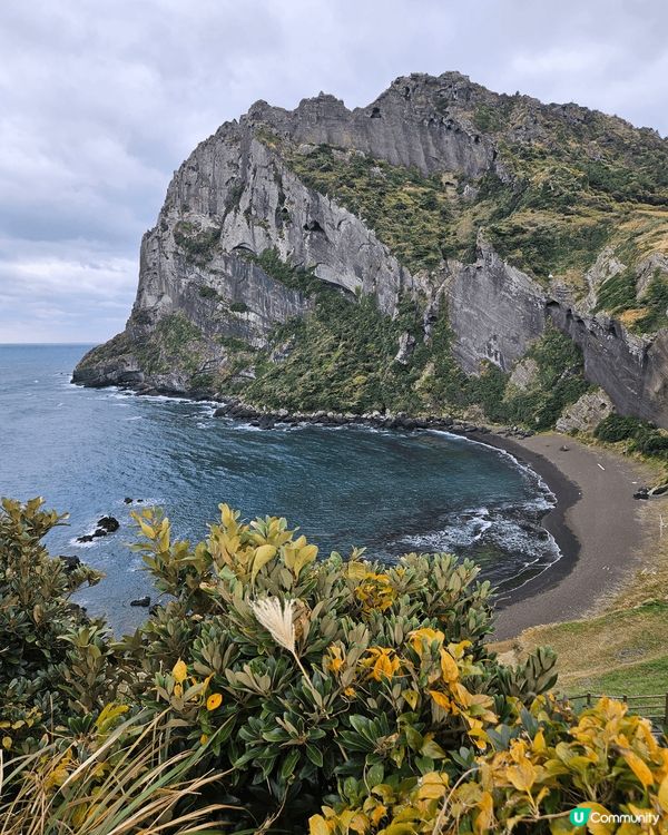 濟州繡球花自駕遊🌸！靚爆景點大公開！🤩