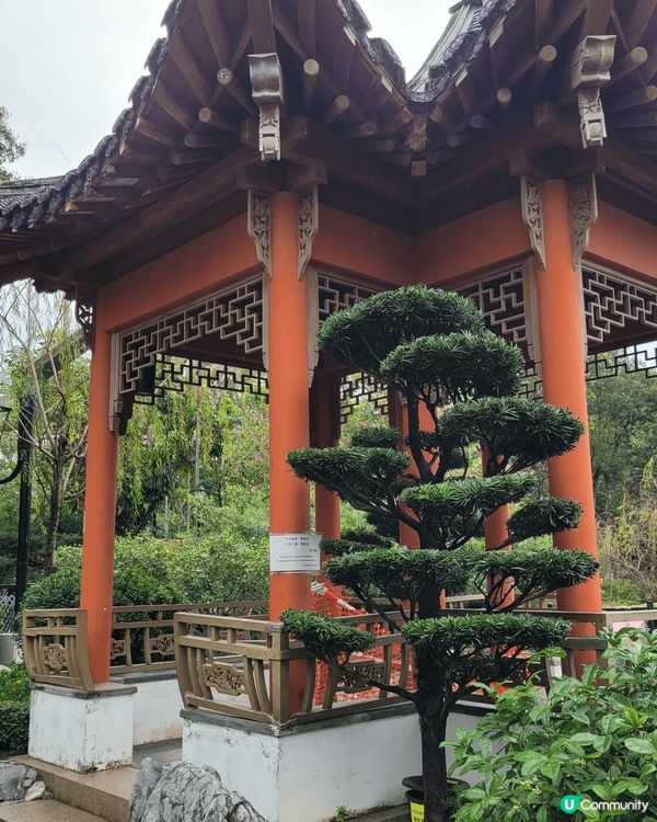 是在上水圍村彭氏家族的一個元宵活動，有傳統拜祭儀式，食物飲品...