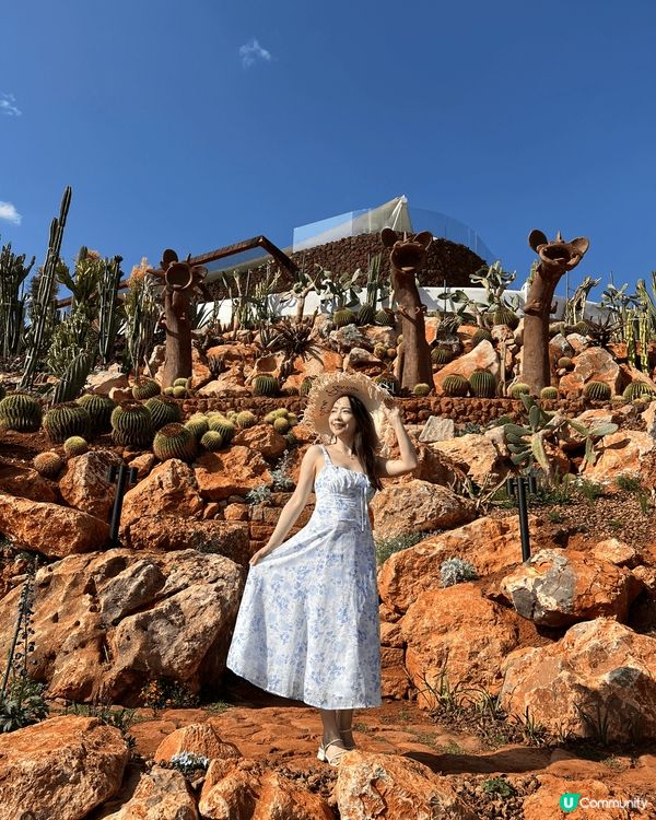 雲南大理拍出的人間絕景！呢個地方叫做理想邦-理想的花園，雖然...