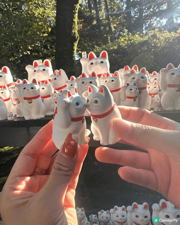 豪德寺の幸福感！招財貓の魅力😻