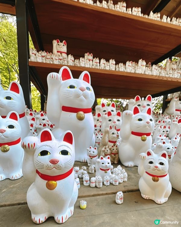 豪德寺の幸福感！招財貓の魅力😻