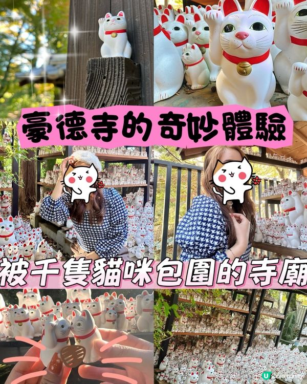 豪德寺の幸福感！招財貓の魅力😻