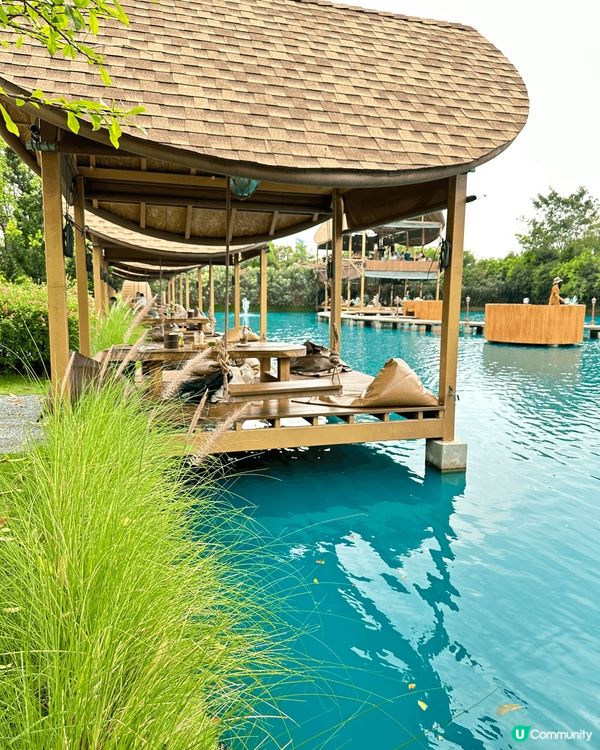 網紅打卡點：Bubble in the Forest Caf...