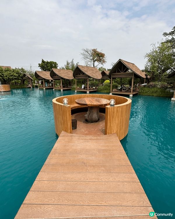 網紅打卡點：Bubble in the Forest Caf...