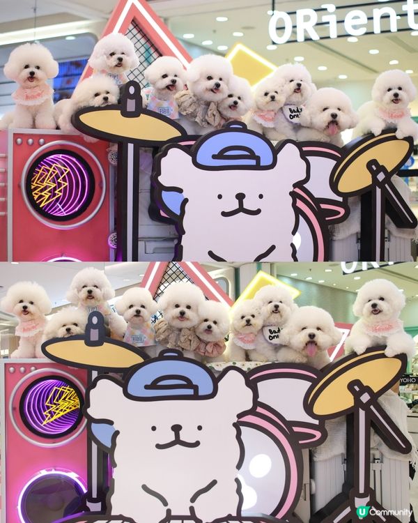 當白色小狗遇上線條小狗🐻‍❄️🐻‍❄️><