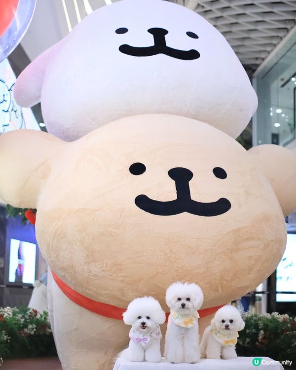 當白色小狗遇上線條小狗🐻‍❄️🐻‍❄️><