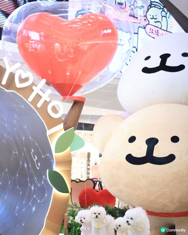 當白色小狗遇上線條小狗🐻‍❄️🐻‍❄️><