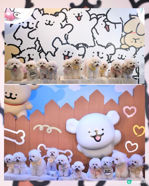 當白色小狗遇上線條小狗🐻‍❄️🐻‍❄️><