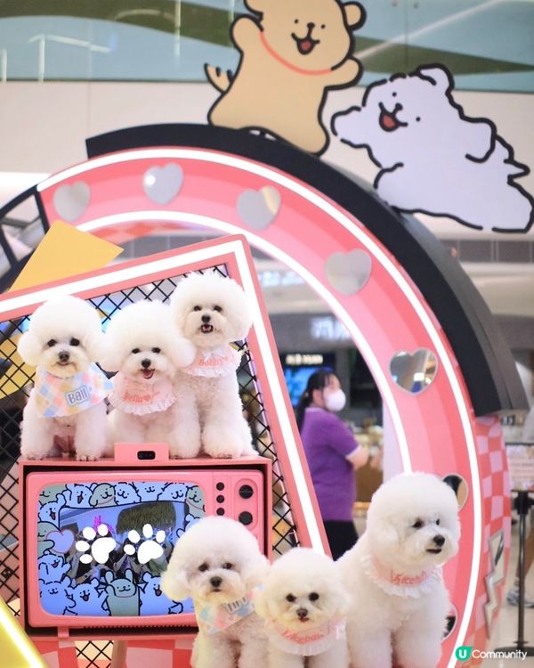 當白色小狗遇上線條小狗🐻‍❄️🐻‍❄️><