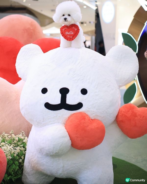 當白色小狗遇上線條小狗🐻‍❄️🐻‍❄️><