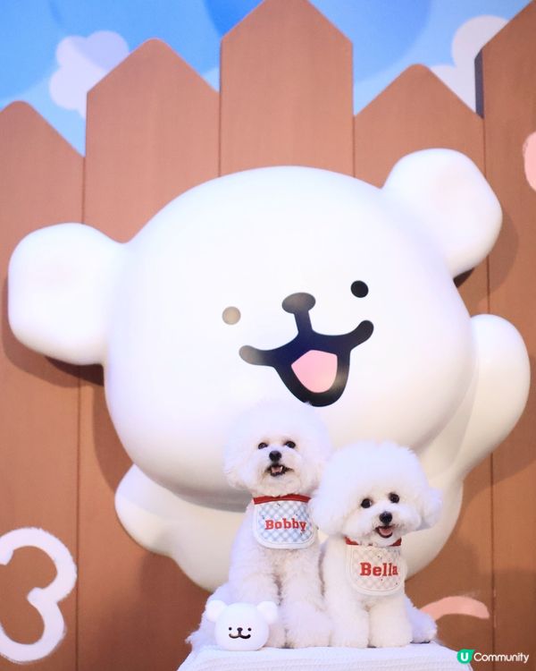 當白色小狗遇上線條小狗🐻‍❄️🐻‍❄️><