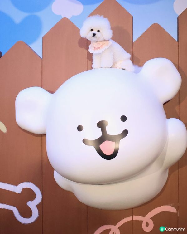 當白色小狗遇上線條小狗🐻‍❄️🐻‍❄️><