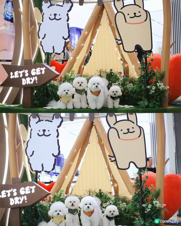 當白色小狗遇上線條小狗🐻‍❄️🐻‍❄️><