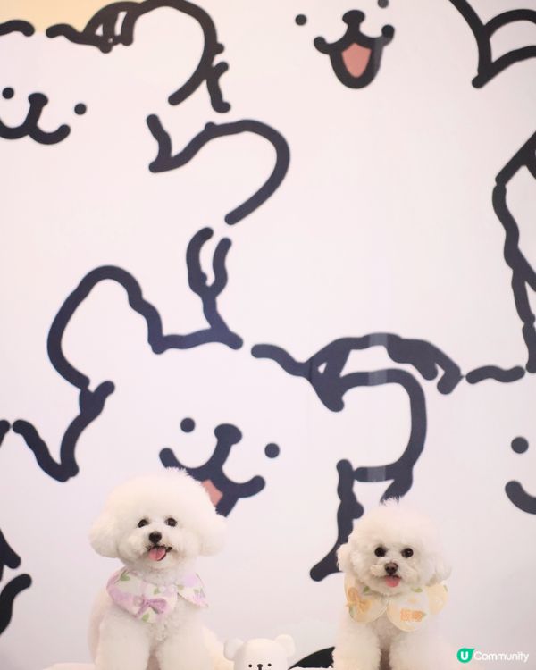 當白色小狗遇上線條小狗🐻‍❄️🐻‍❄️><