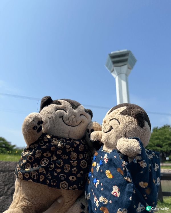 五稜郭公園。好多人會買門票上塔影星型全景。去北海道如果天氣好...