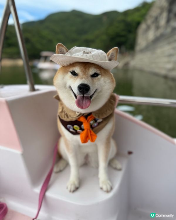 / 帶毛孩踩水上單車 \